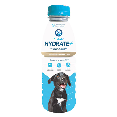 Oralade Hydrate+ for Dogs for Food