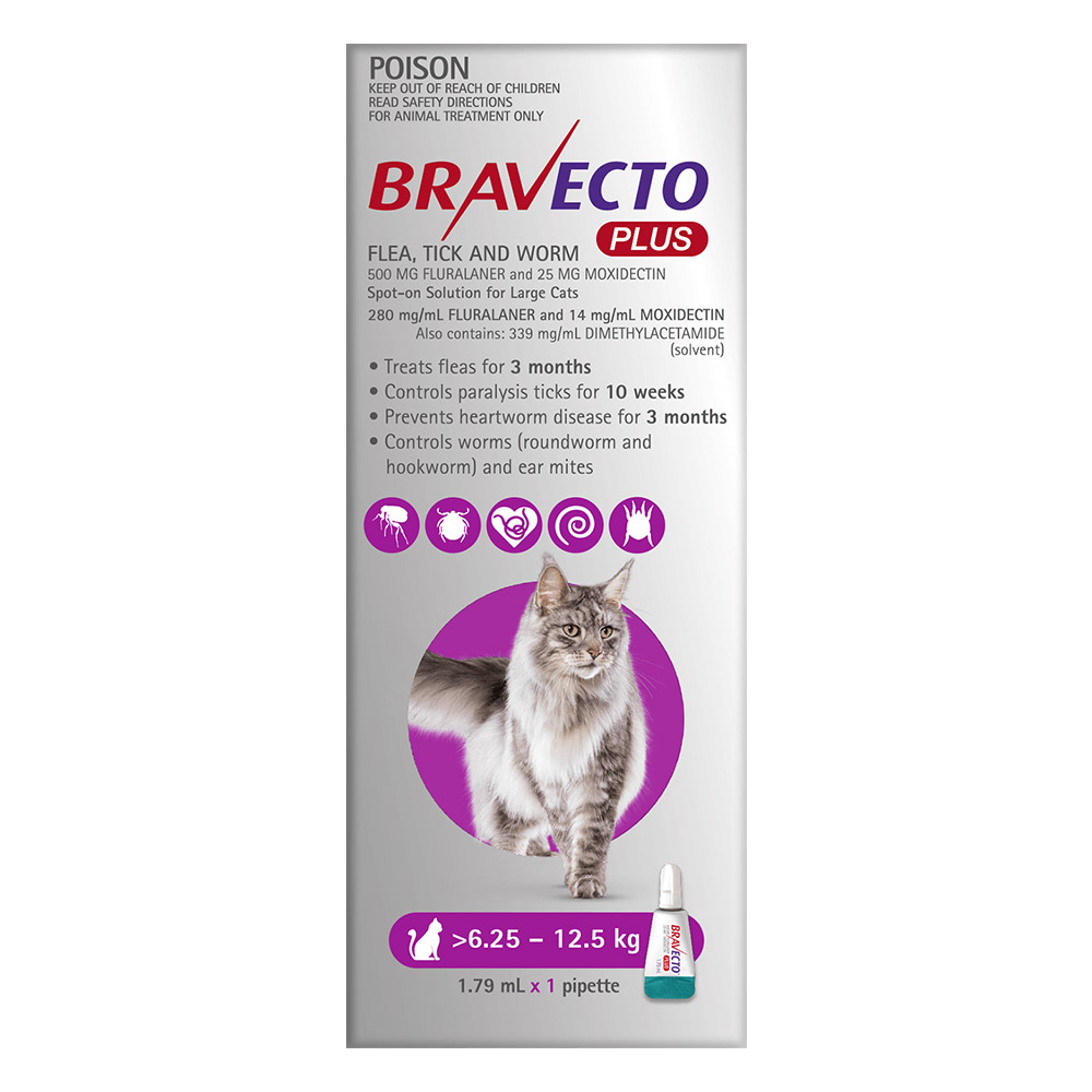 Bravecto Plus for Large Cats (6.25 – 12.5 kg) Purple