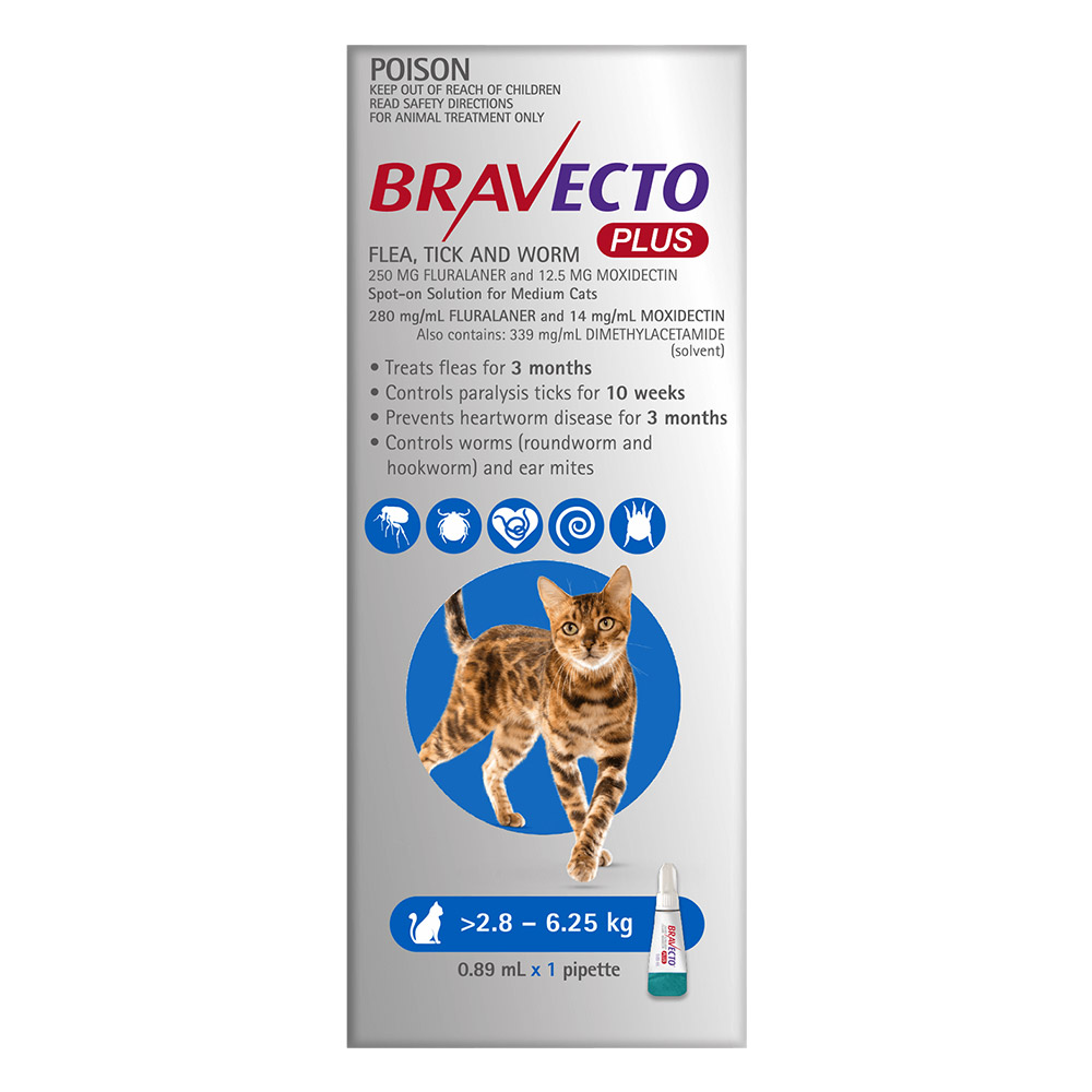 Bravecto Plus for Medium Cats (2.8 – 6.25 kg) Blue
