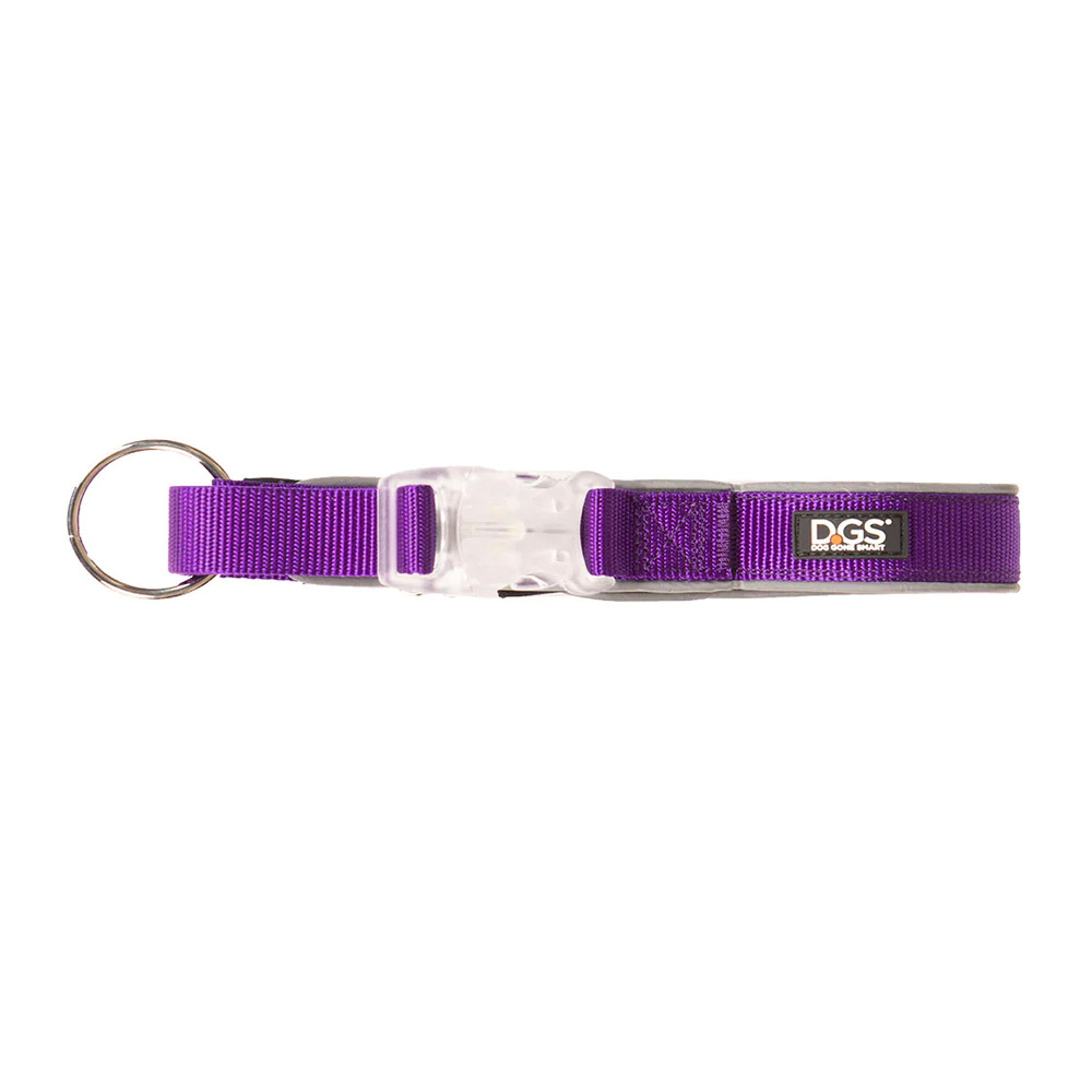 DGS Comet LED Safety Collar (Purple) Small - 1.5cm X 34 - 41cm