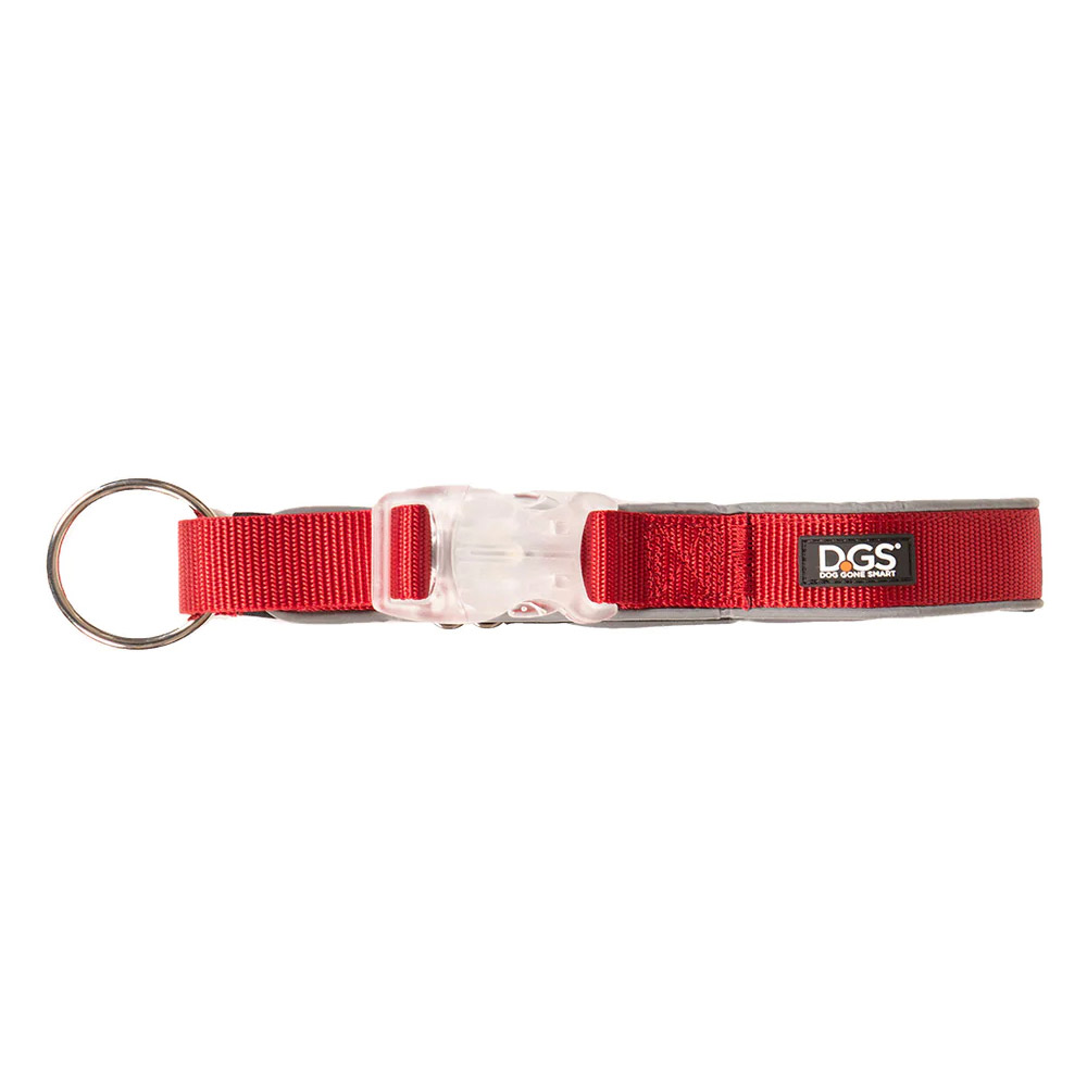 DGS Comet LED Safety Collar (Red) Small - 1.5cm X 34 - 41cm