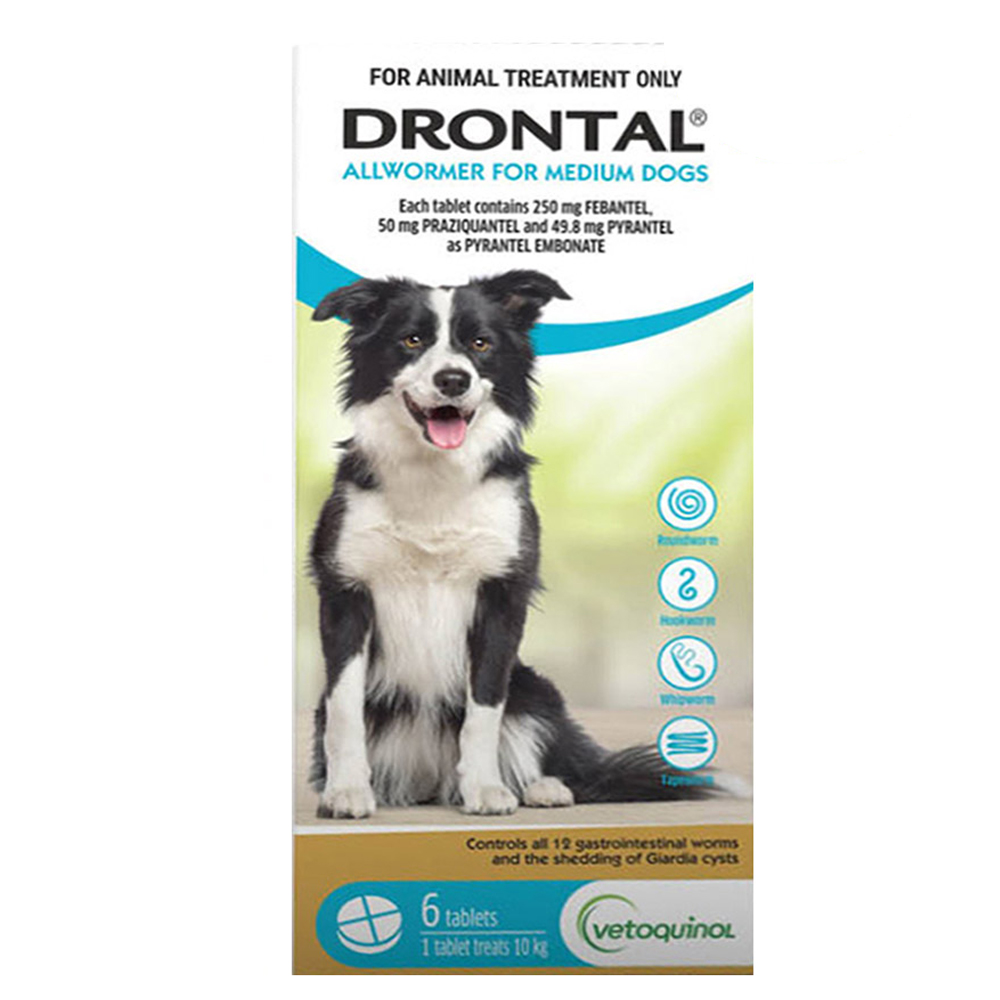 Drontal Wormers - Dogs Wormers Tabs For Dogs 10Kg (Aqua)