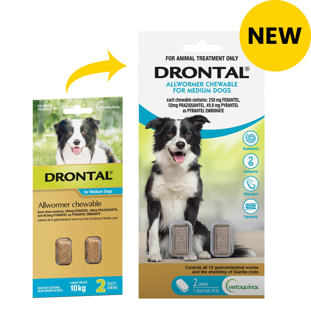 Drontal Wormers - Dogs Wormers Chewable For Dogs Up To 10Kg (Aqua)