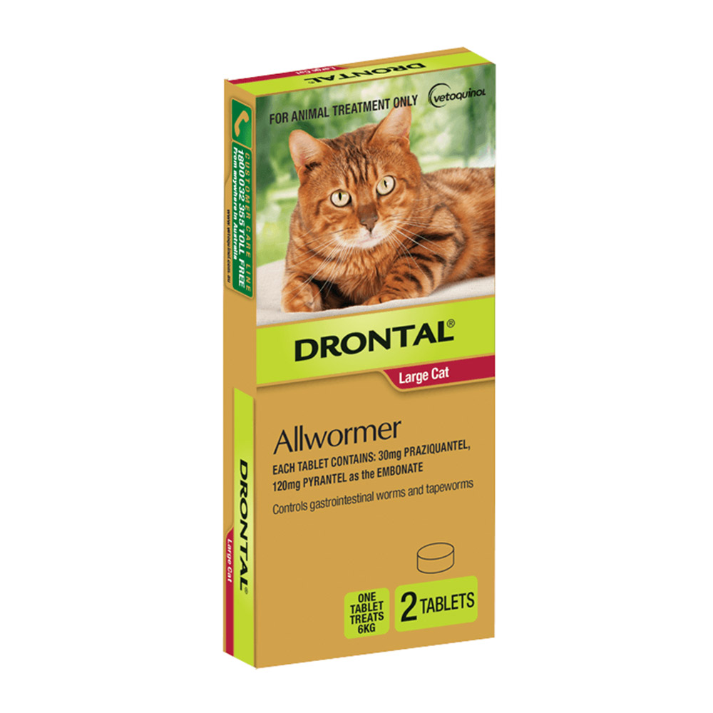 Drontal Wormers - Cats For Large Cats 6Kg