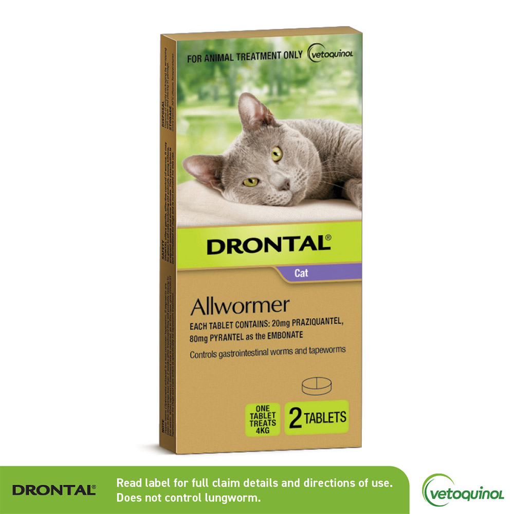 Drontal Wormers - Cats for Cats