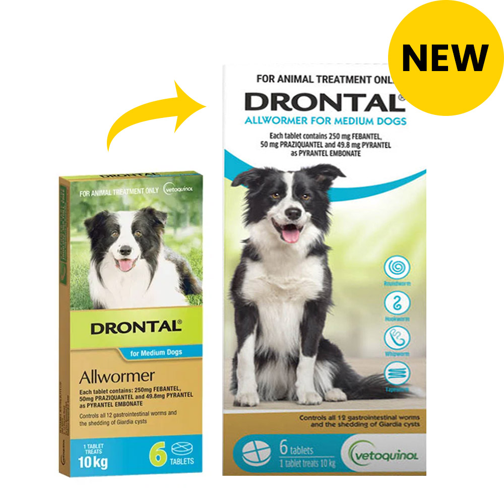 Drontal Wormers - Dogs Wormers Tabs For Dogs 10Kg (Aqua)