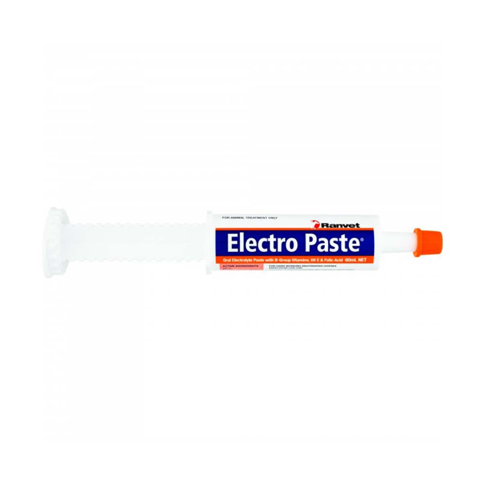 Ranvet Electro Paste for Horse
