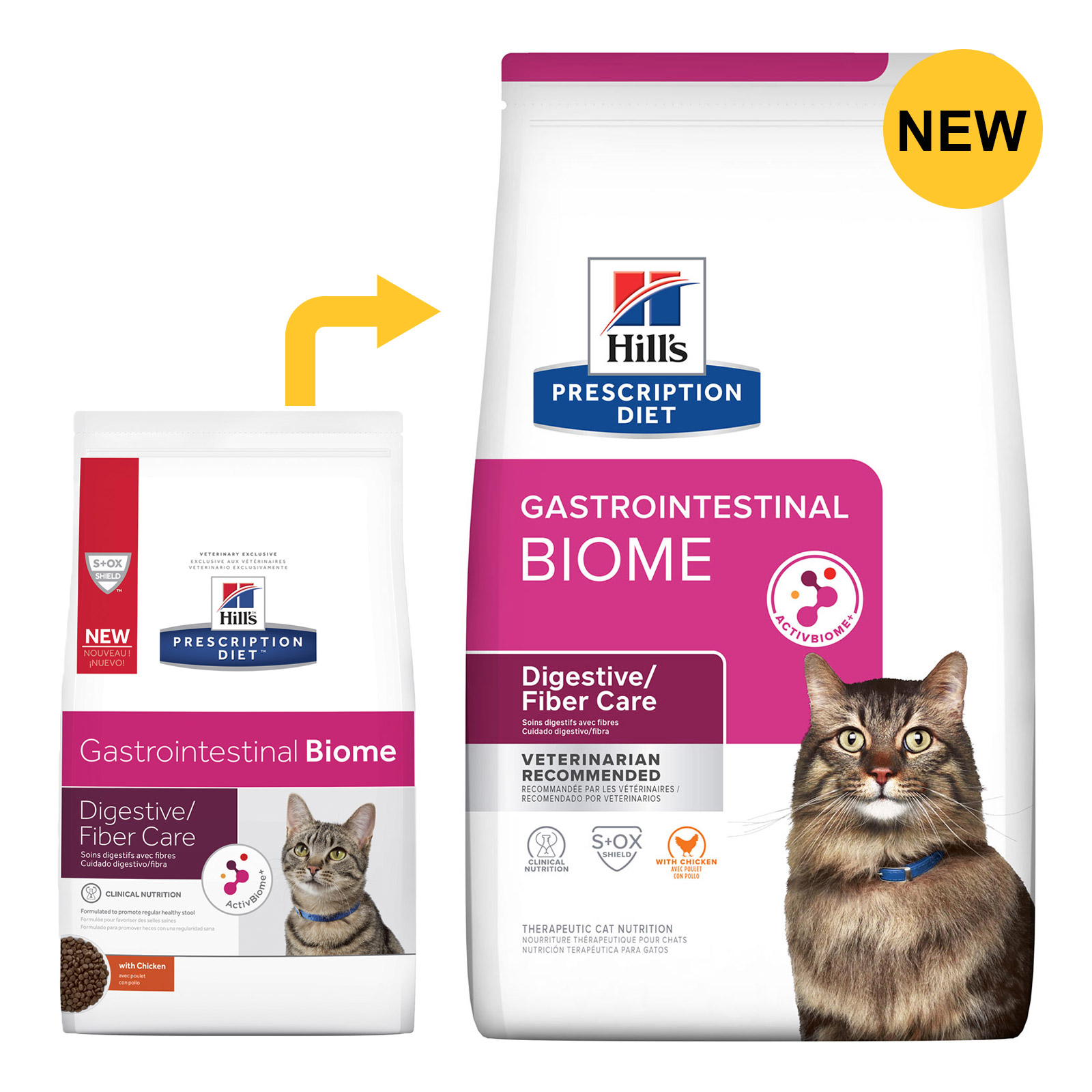 Hill's Prescription Diet Gastrointestinal Biome Digestive Fibre Care with Chicken Dry Cat Food for Food