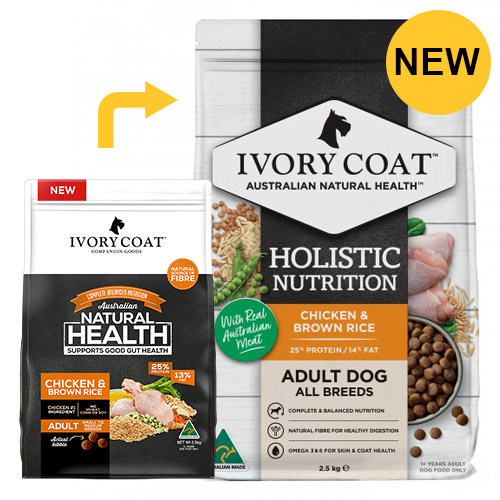 Ivory Coat Dog Adult Chicken and Brown Rice for Food