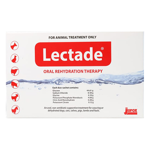 Lectade Oral Rehydration Therapy for Horse