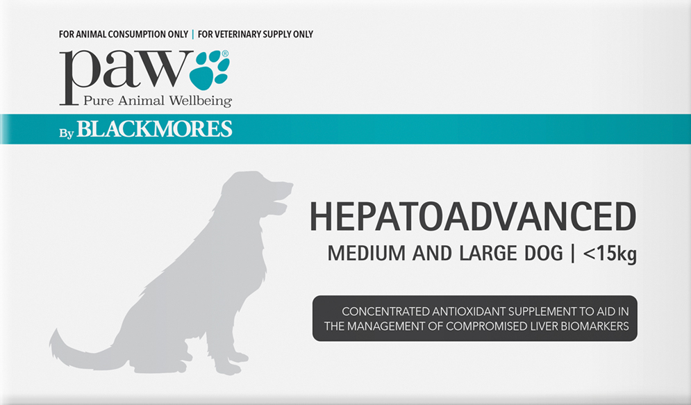 PAW Hepatoadvanced For Medium And Large Dog