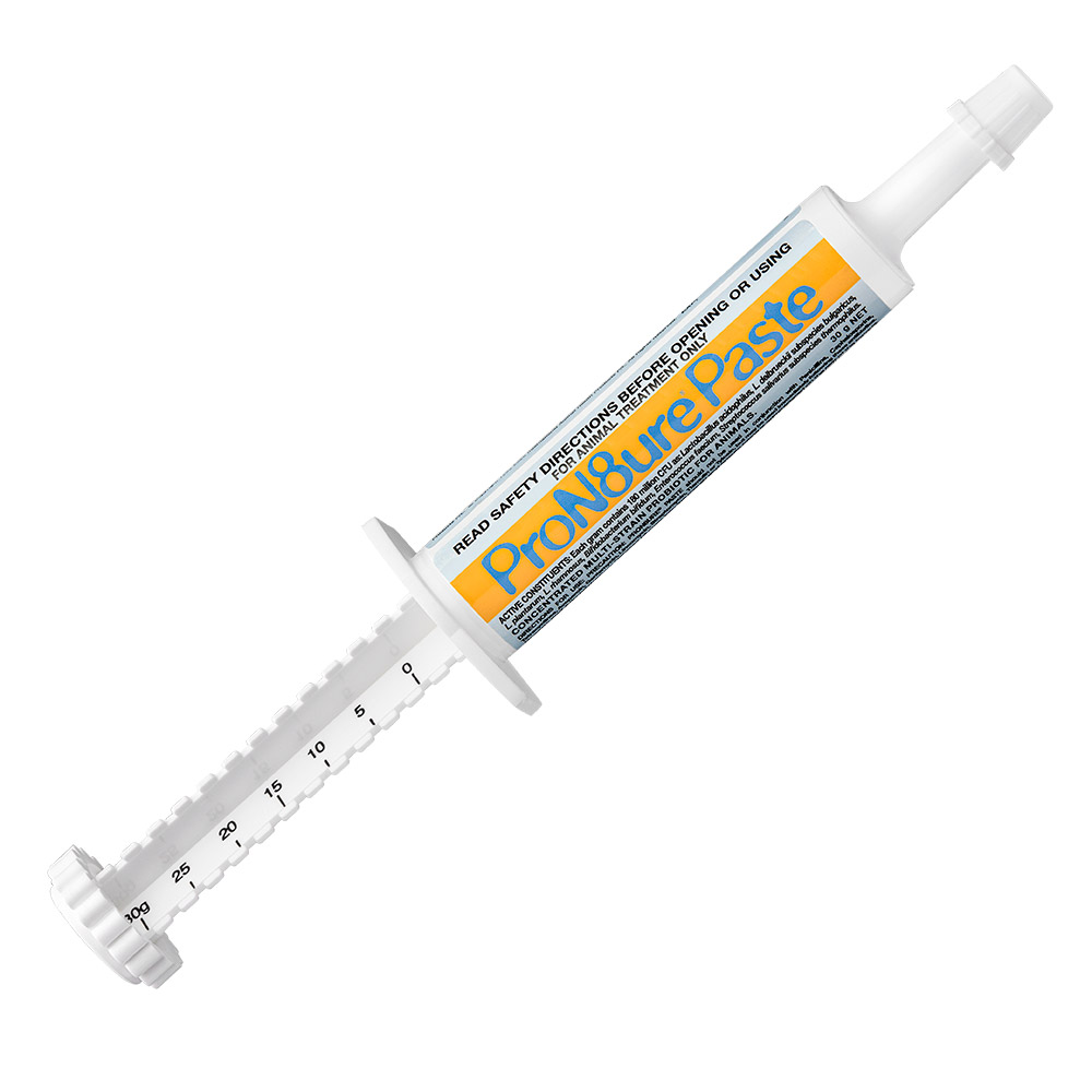 Pron8ure (Protexin) Paste 100 Gm