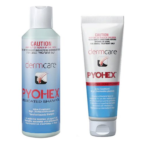 Dermcare Pyohex Combo Pack (Pyohex Shampoo 250ml & Pyohex Conditioner 100ml) for Dogs