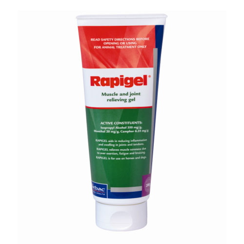 Rapigel Muscle And Joint Squeeze Tube