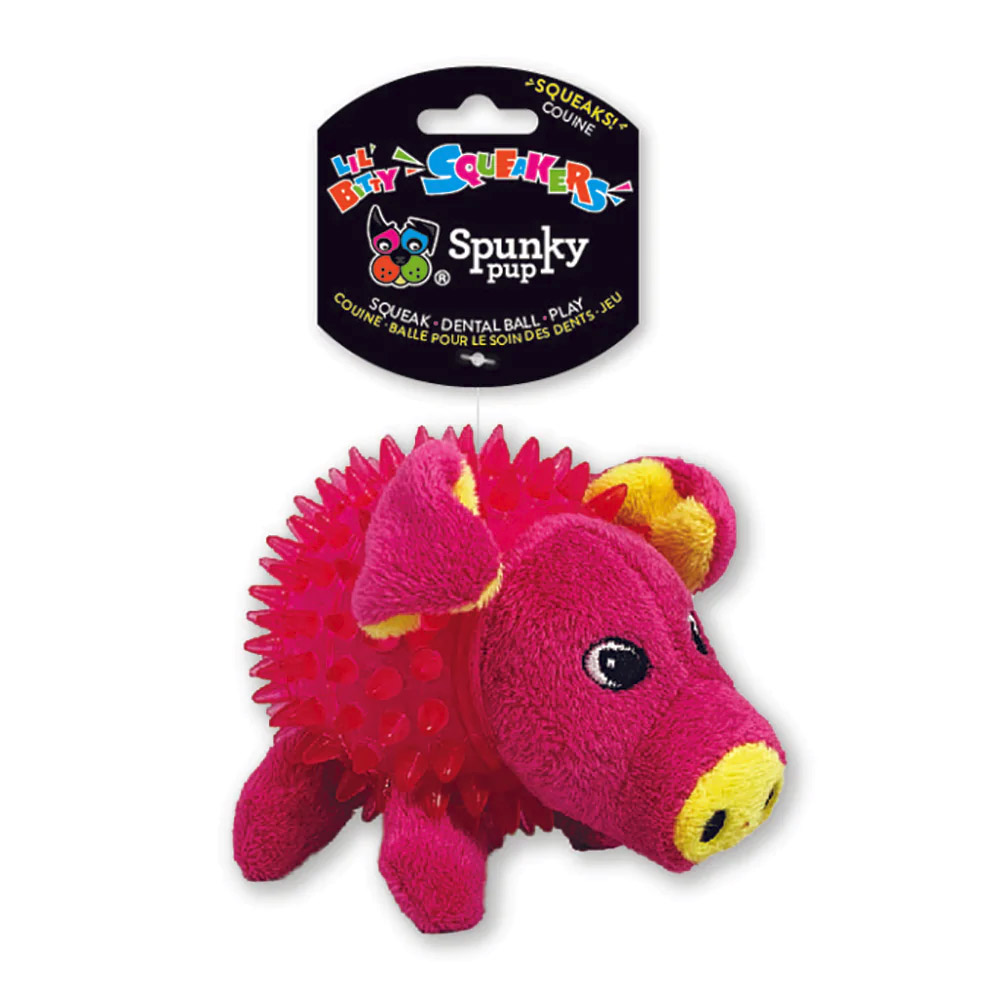Spunky Pup Lil' Bitty Squeakers Pig for Dogs