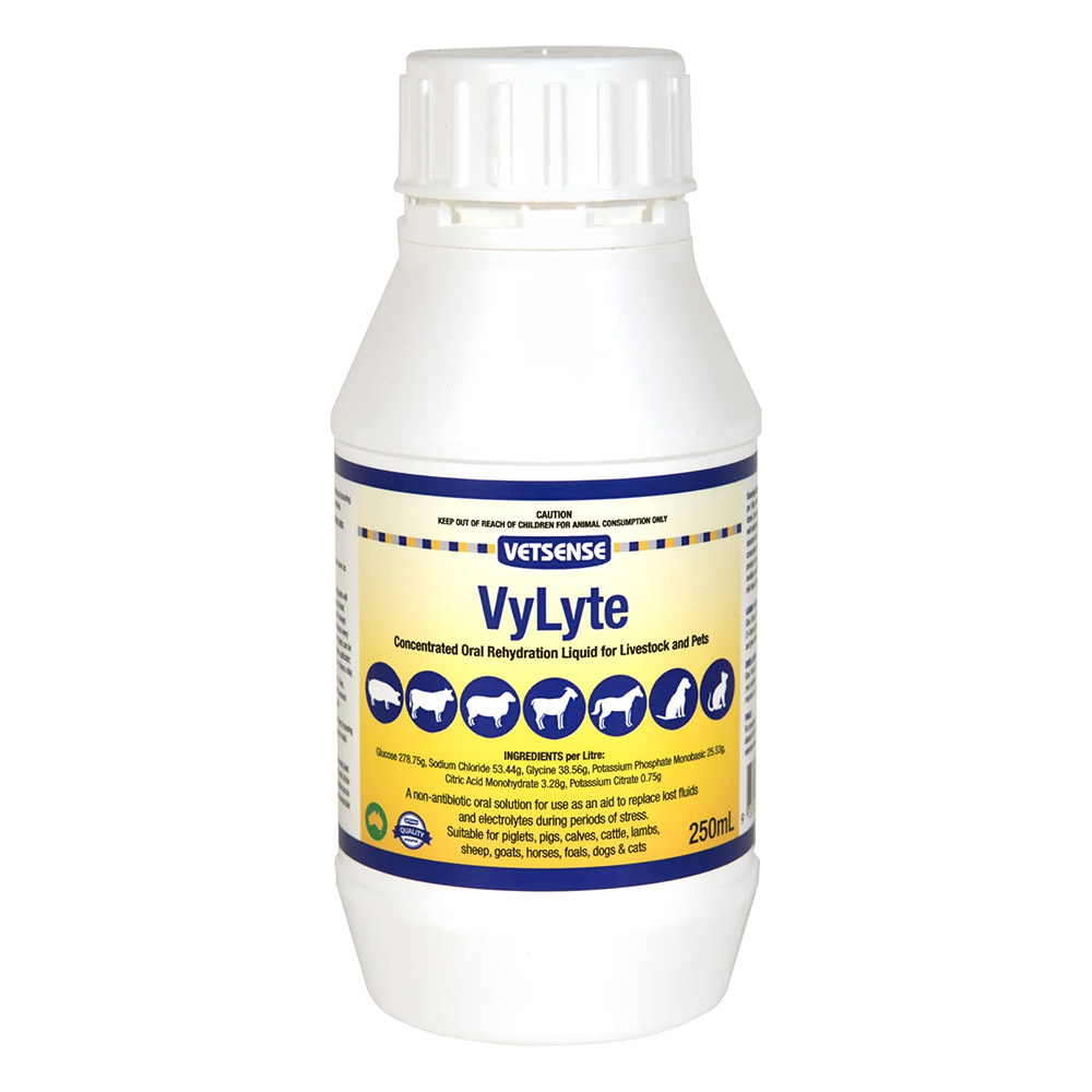 Vetsense VyLyte Concentrated Oral Rehydration Liquid for Dogs