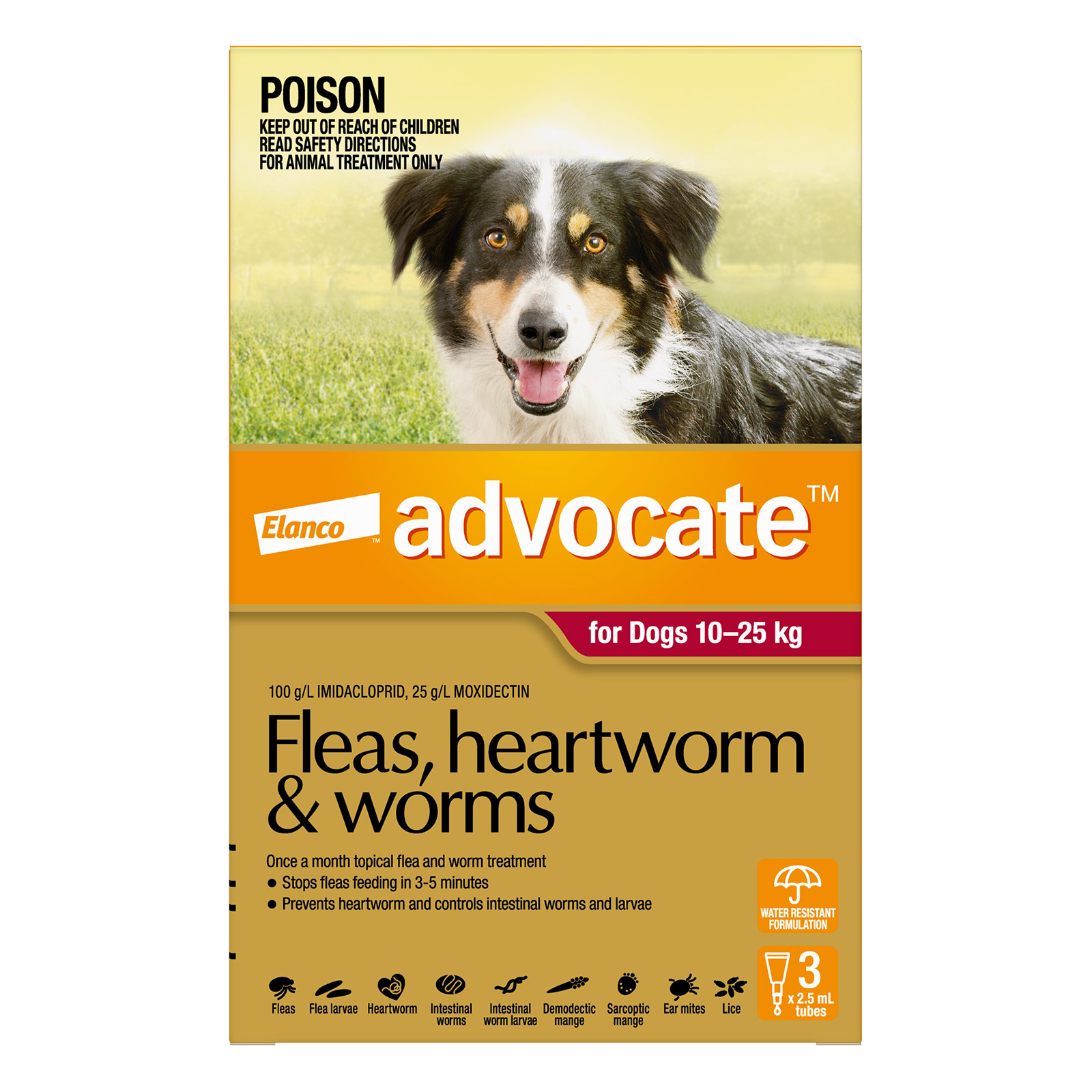 Advocate For Large Dogs 10 To 25Kg (Red)