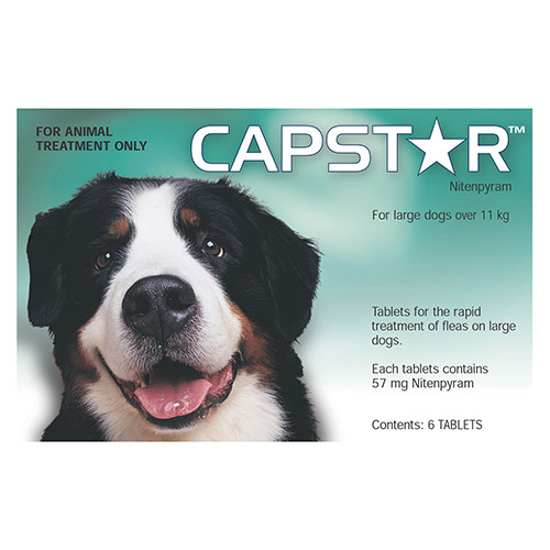 Capstar For Large Dogs over 11Kg (Green)