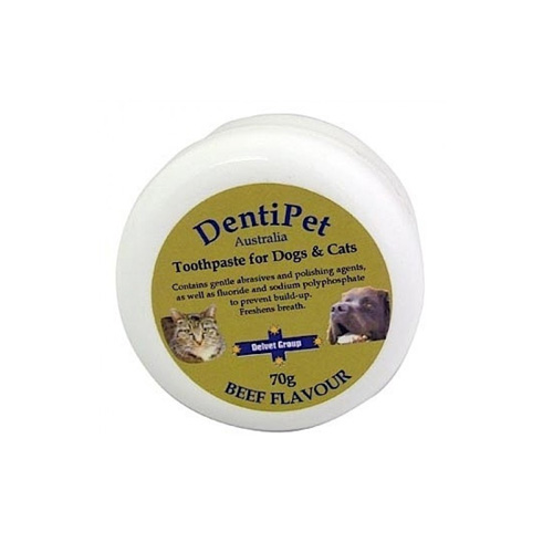 Dentipet Toothpaste for Cats 70 Gm Beef Flavour