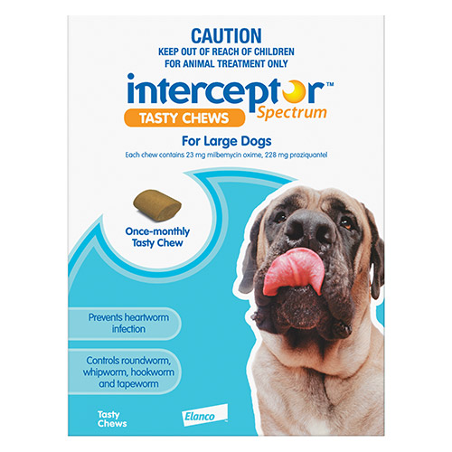 Interceptor Spectrum Chews For Large Dogs 22 To 45Kg (Blue)