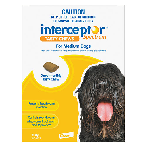 Interceptor Spectrum Chews For Medium Dogs 11 To 22Kg (Yellow)