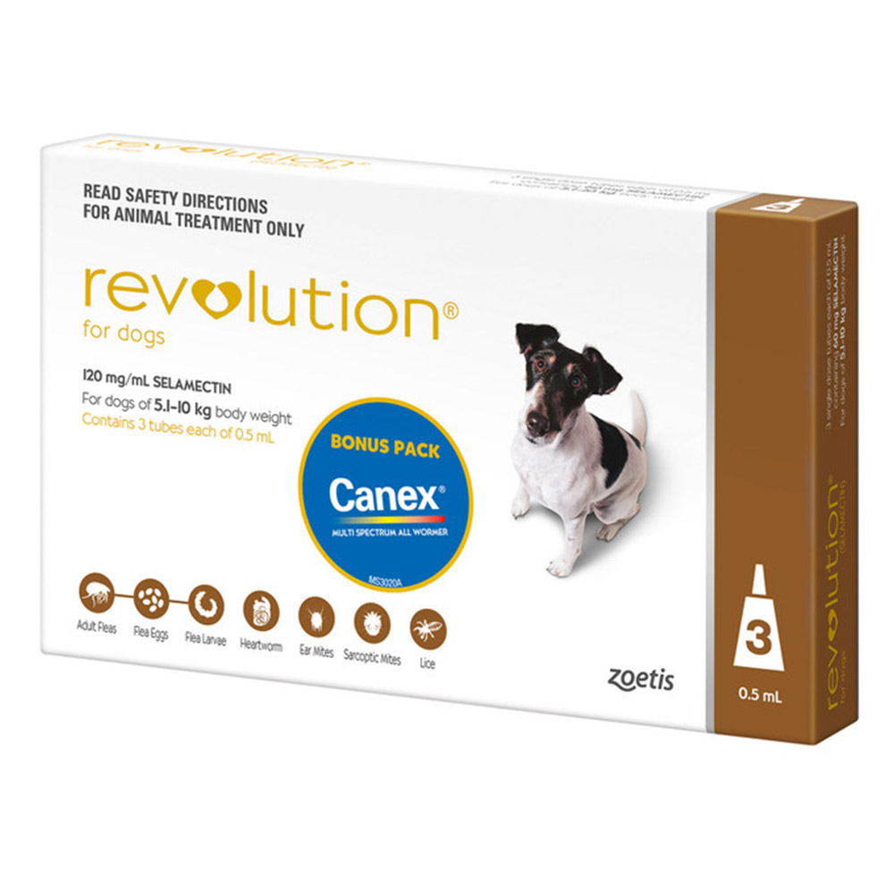 Revolution For Small Dogs 5.1 To 10Kg (Brown)