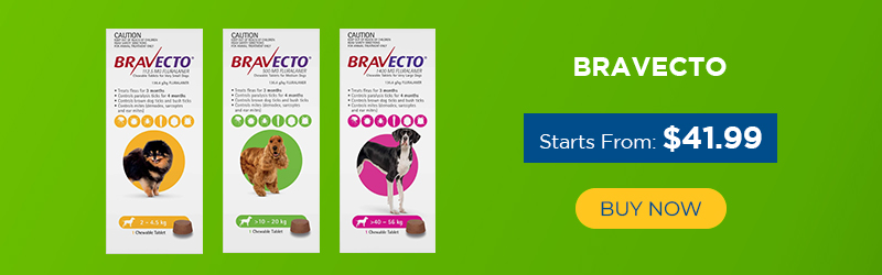 Bravecto for Dog