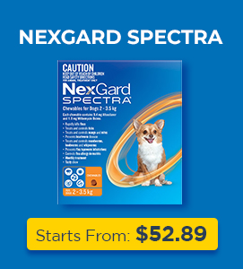 Nexgard Spectra for Dog