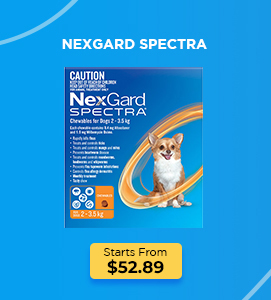 Nexgard Spectra for Dog